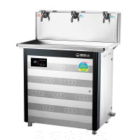 碧丽 1开1温1纯 RO400水箱4G饮水机